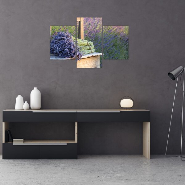 Slika - Grozdovi lavande (90x60 cm)