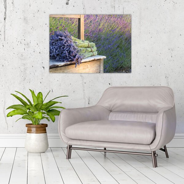 Slika - Grozdovi lavande (70x50 cm)