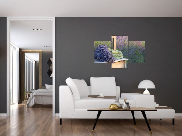 Slika - Grozdovi lavande (90x60 cm)