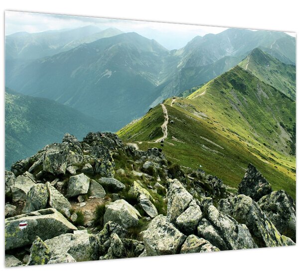 Slika - Planinski krajolik (70x50 cm)