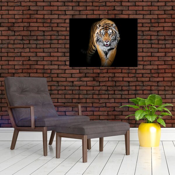 Slika - Tigar (70x50 cm)