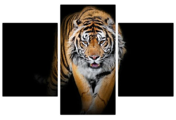 Slika - Tigar (90x60 cm)