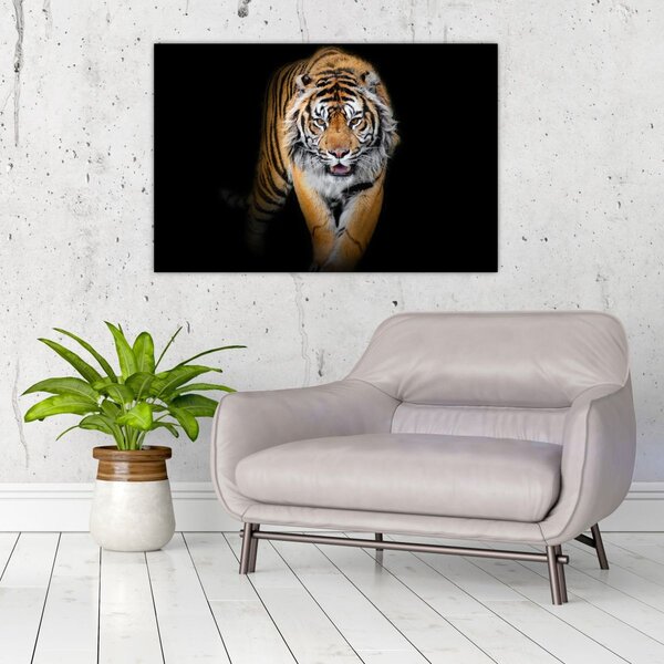 Slika - Tigar (90x60 cm)