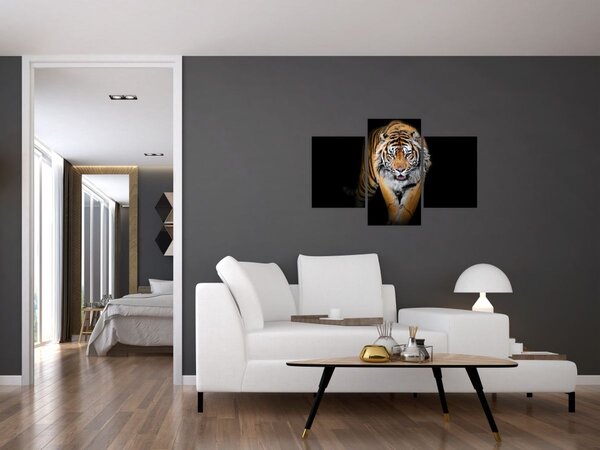 Slika - Tigar (90x60 cm)