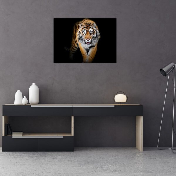 Slika - Tigar (70x50 cm)