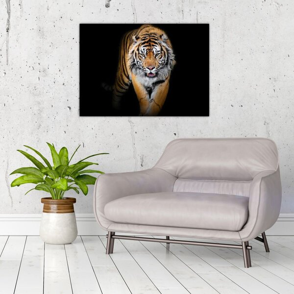 Slika - Tigar (70x50 cm)