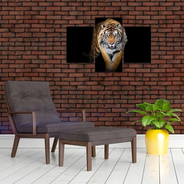 Slika - Tigar (90x60 cm)