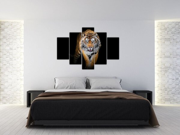 Slika - Tigar (150x105 cm)