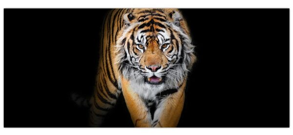 Slika - Tigar (120x50 cm)