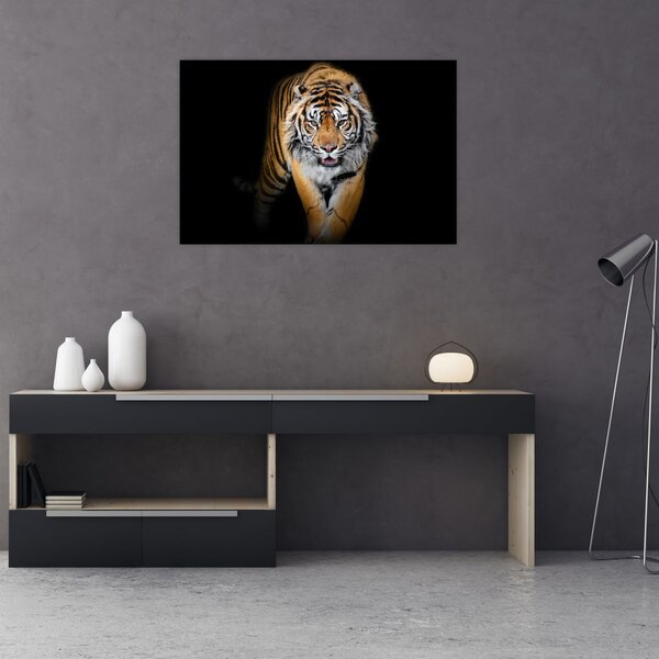 Slika - Tigar (90x60 cm)
