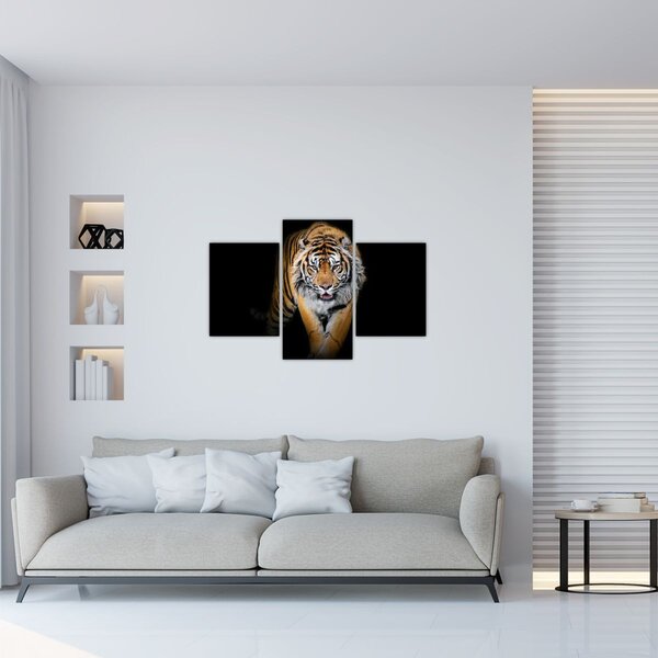 Slika - Tigar (90x60 cm)