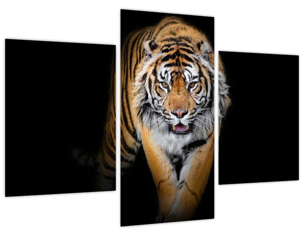 Slika - Tigar (90x60 cm)