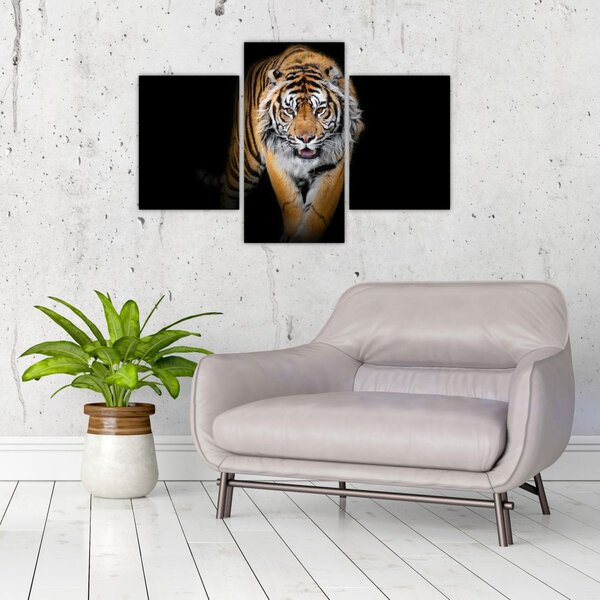 Slika - Tigar (90x60 cm)