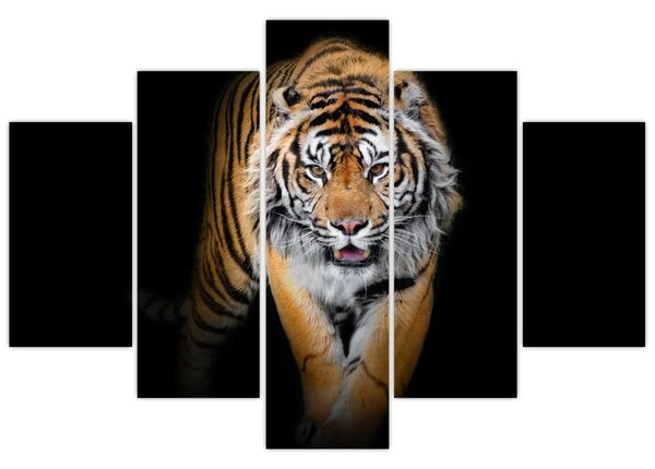 Slika - Tigar (150x105 cm)