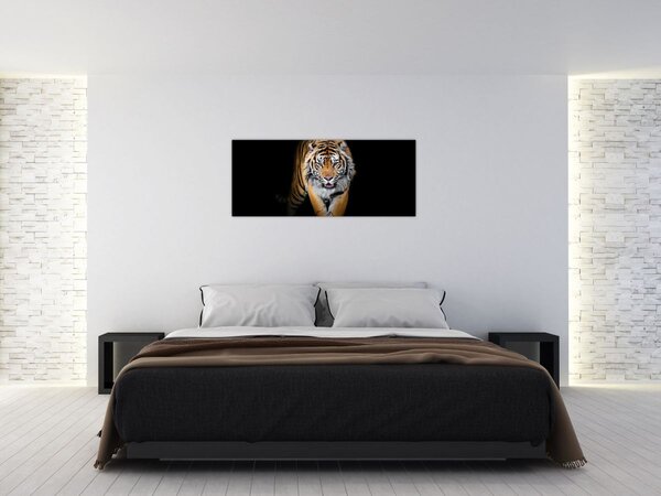 Slika - Tigar (120x50 cm)