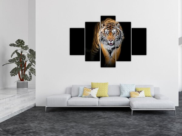 Slika - Tigar (150x105 cm)