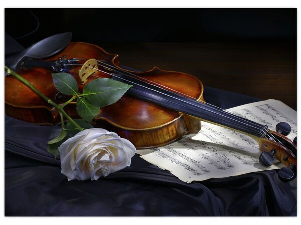 Slika - Ruže i violina (70x50 cm)