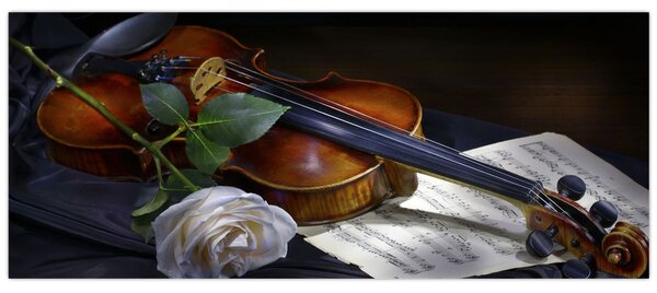 Slika - Ruže i violina (120x50 cm)