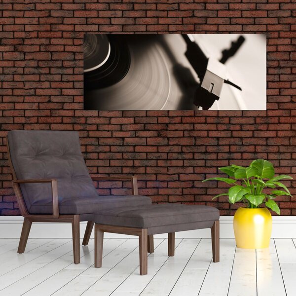 Slika - Gramofonska ploča (120x50 cm)