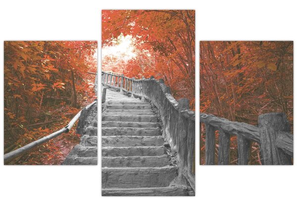 Slika - Stepenice u prirodi, narančaste (90x60 cm)