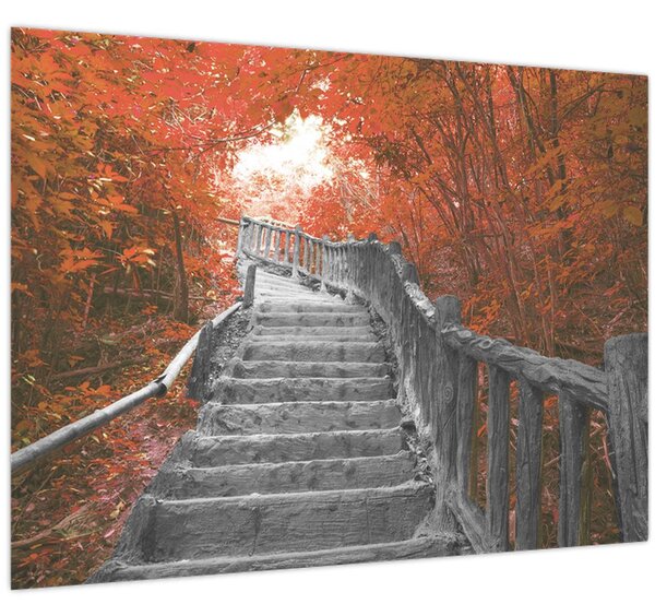 Slika - Stepenice u prirodi, narančaste (70x50 cm)