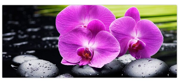 Slika - Orhideje (120x50 cm)