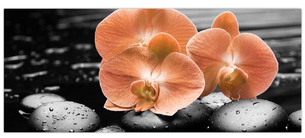 Slika - Narančaste orhideje (120x50 cm)
