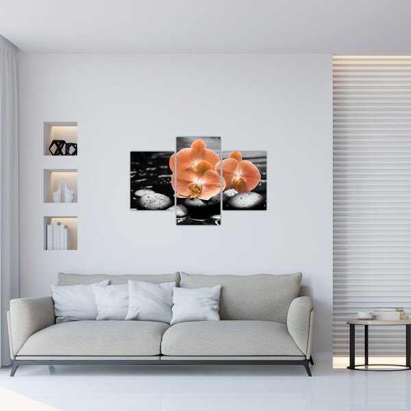 Slika - Narančaste orhideje (90x60 cm)