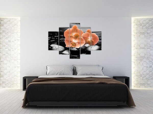 Slika - Narančaste orhideje (150x105 cm)
