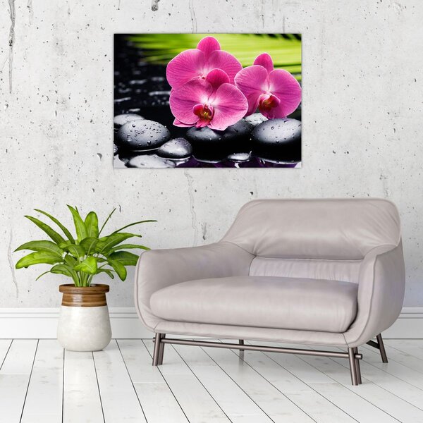 Staklena slika - Ružičaste orhideje s palminim lišćem (70x50 cm)