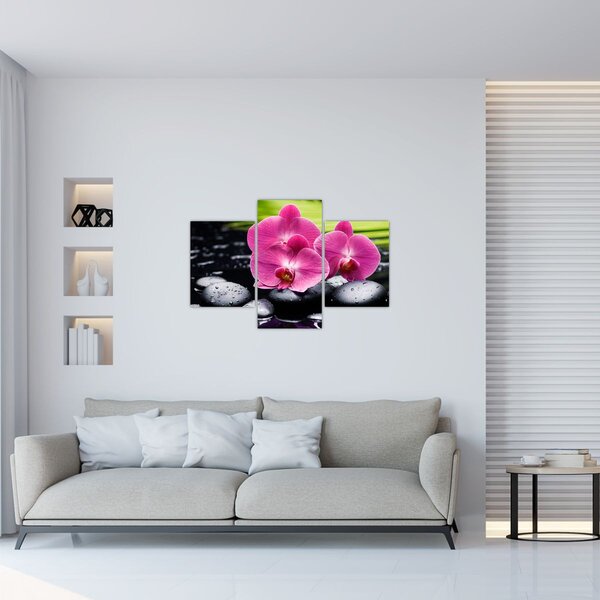 Slika - Ružičaste orhideje s palminim lišćem (90x60 cm)