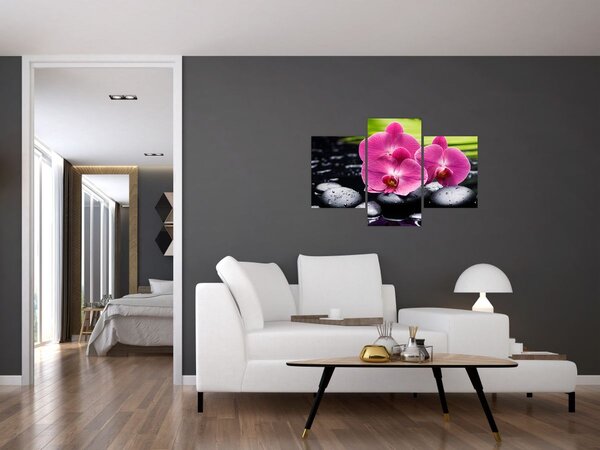 Slika - Ružičaste orhideje s palminim lišćem (90x60 cm)