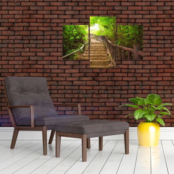 Slika - Stepenice u prirodi (90x60 cm)