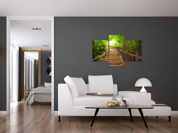 Slika - Stepenice u prirodi (90x60 cm)