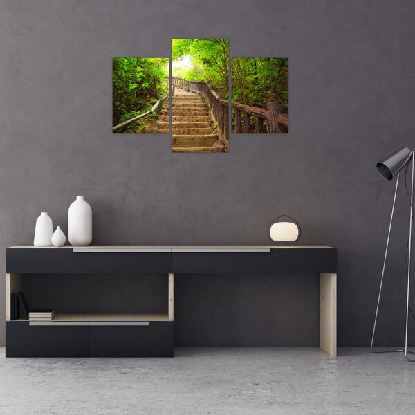 Slika - Stepenice u prirodi (90x60 cm)