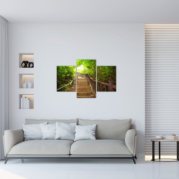 Slika - Stepenice u prirodi (90x60 cm)