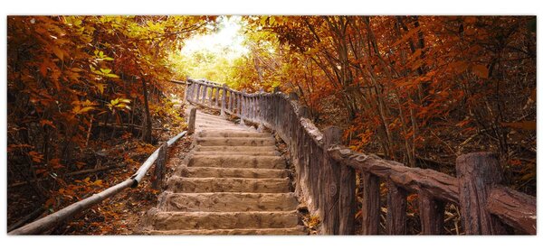 Slika - Stepenice u prirodi u jesen (120x50 cm)