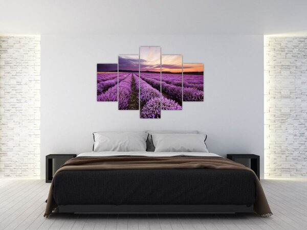 Slika - Polje lavande na zalasku sunca (150x105 cm)