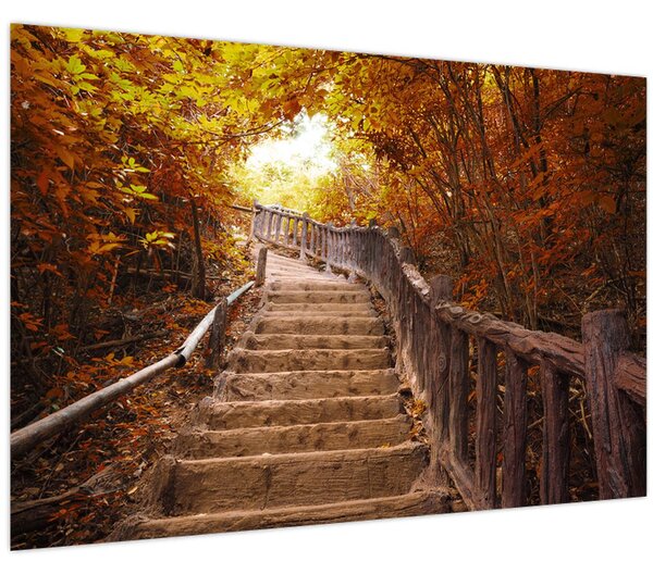Slika - Stepenice u prirodi u jesen (90x60 cm)