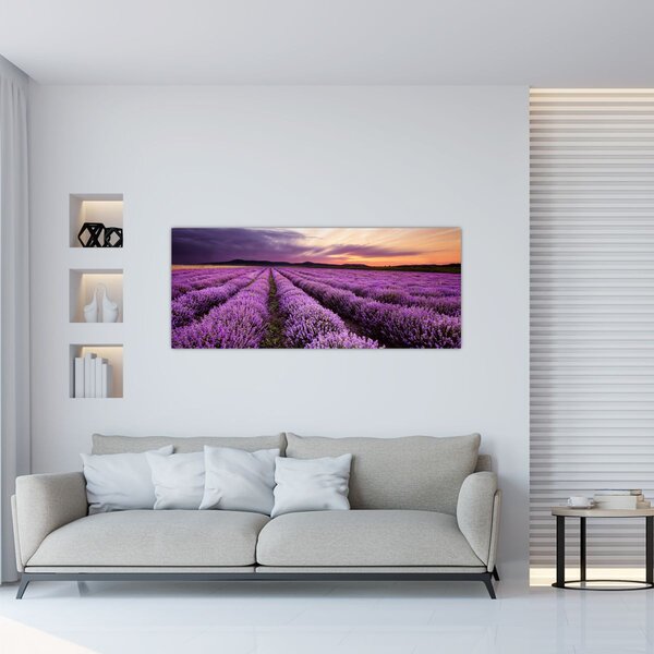 Slika - Polje lavande na zalasku sunca (120x50 cm)