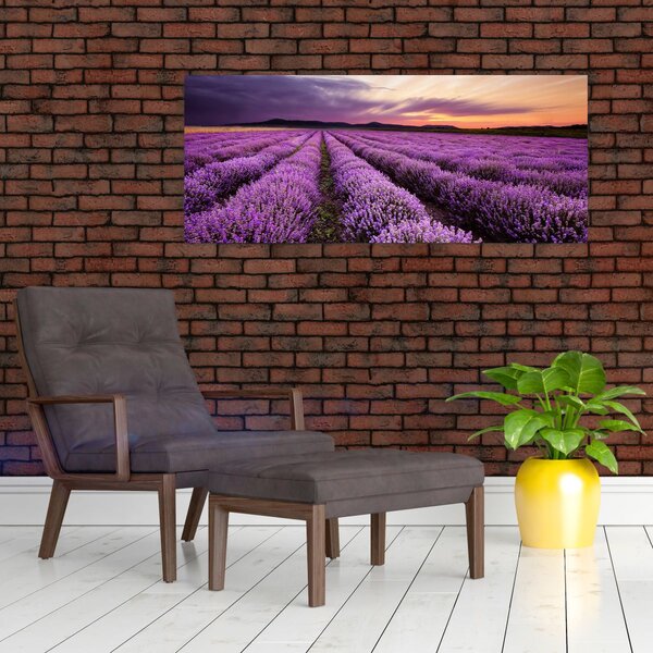 Slika - Polje lavande na zalasku sunca (120x50 cm)