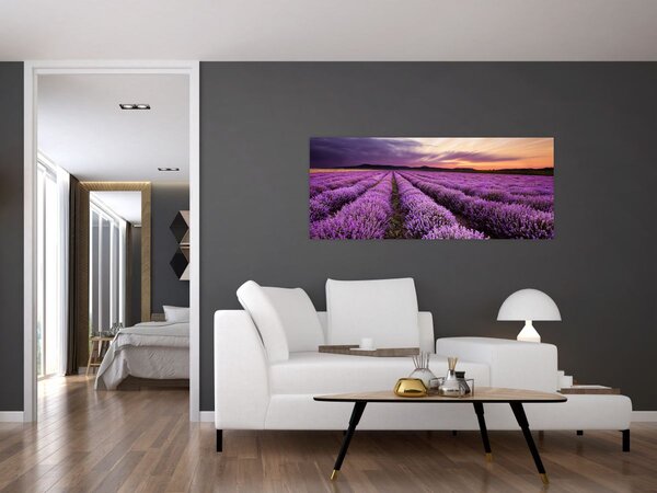 Slika - Polje lavande na zalasku sunca (120x50 cm)