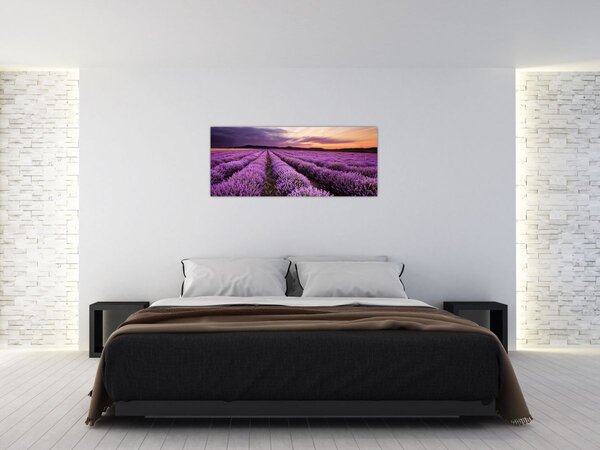 Slika - Polje lavande na zalasku sunca (120x50 cm)
