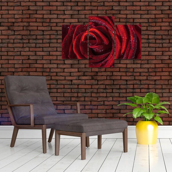 Slika - Crvena ruža s kapljicama rose (90x60 cm)