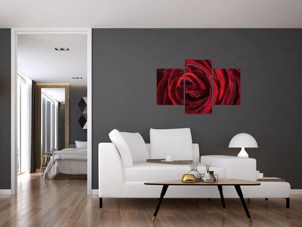 Slika - Crvena ruža s kapljicama rose (90x60 cm)