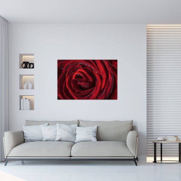 Slika - Crvena ruža s kapljicama rose (90x60 cm)
