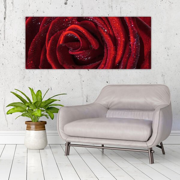 Slika - Crvena ruža s kapljicama rose (120x50 cm)