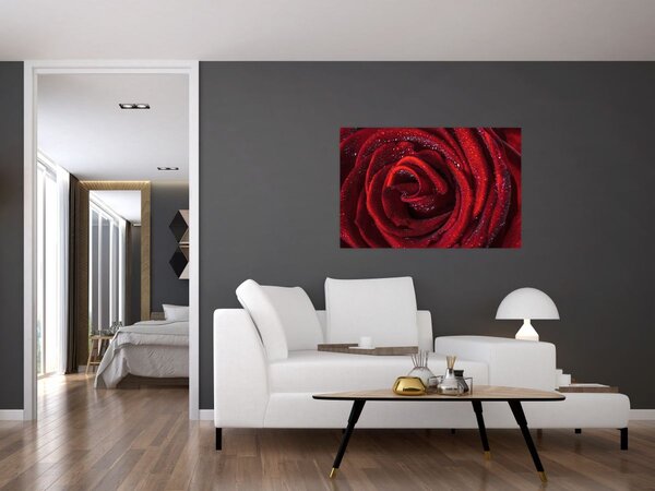 Slika - Crvena ruža s kapljicama rose (90x60 cm)