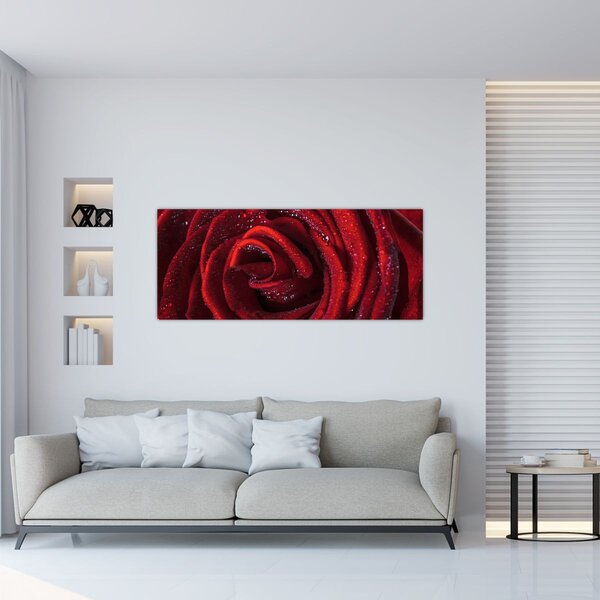 Slika - Crvena ruža s kapljicama rose (120x50 cm)