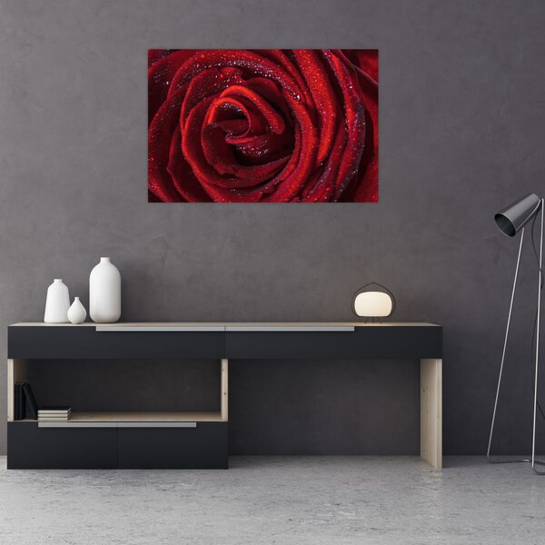 Slika - Crvena ruža s kapljicama rose (90x60 cm)